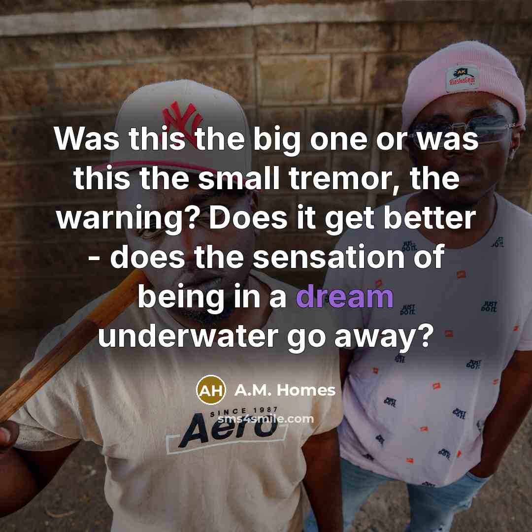 “Was this the big one or was this the small…” quote by A.M. Homes