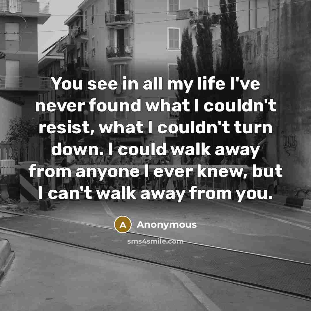 “You see in all my life I've never found what…” quote by Anonymous