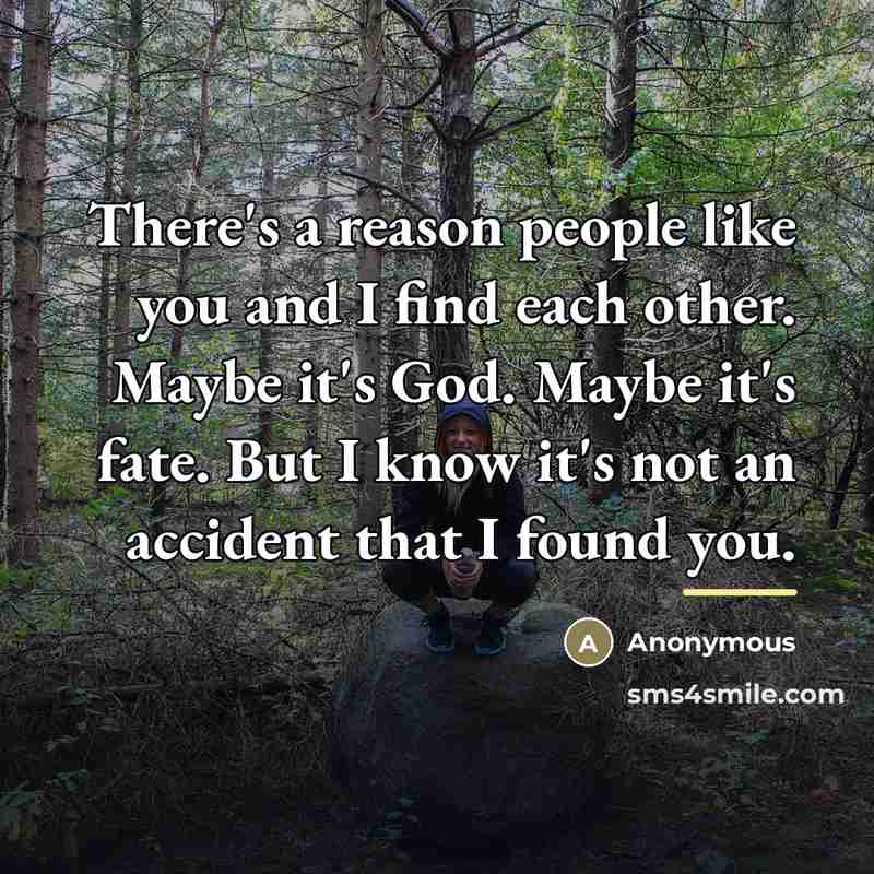 “There's a reason people like you and I find each…” quote by Anonymous
