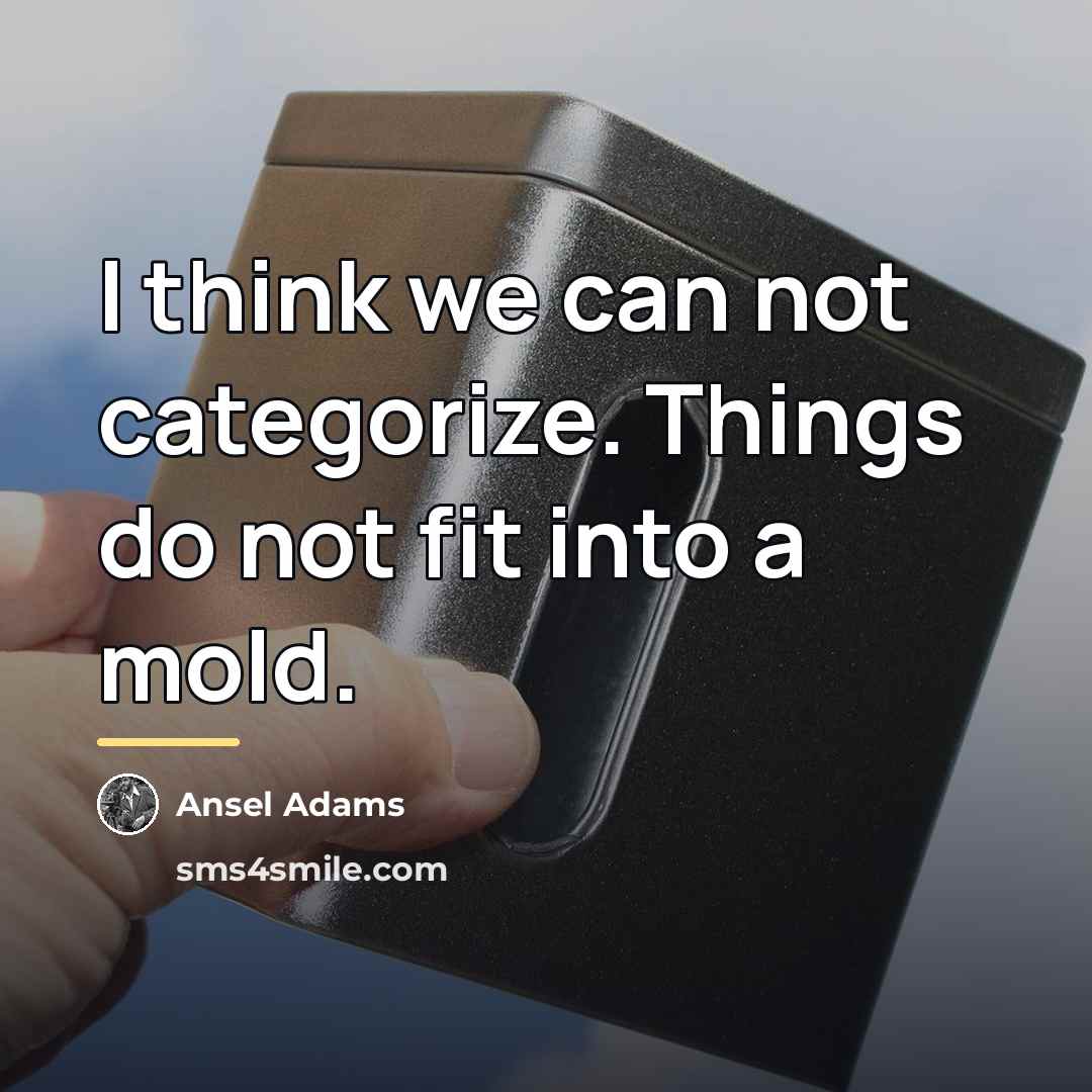 “I think we can not categorize. Things do not fit…” quote by Ansel Adams