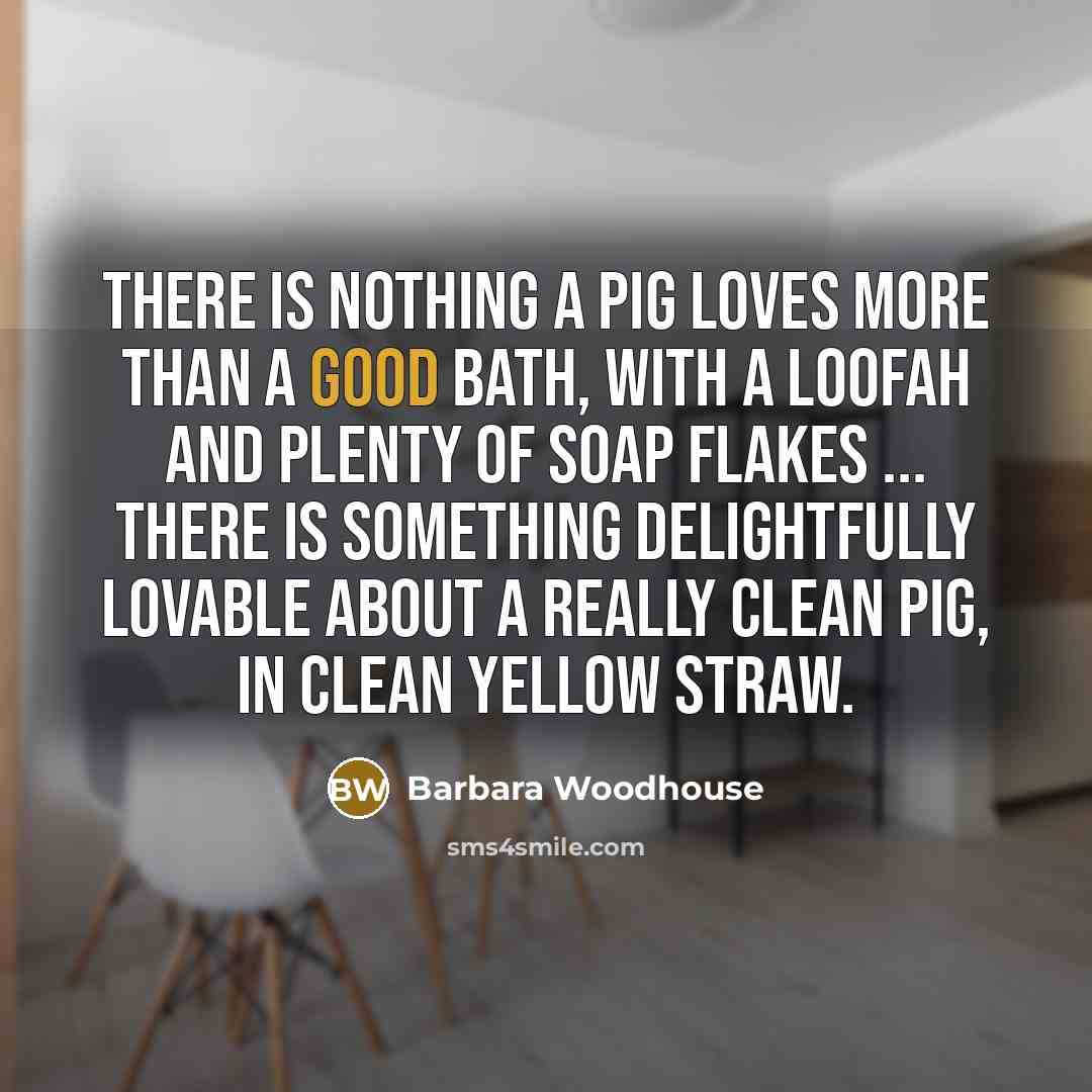 “There is nothing a pig loves more than a good…” quote by Barbara Woodhouse