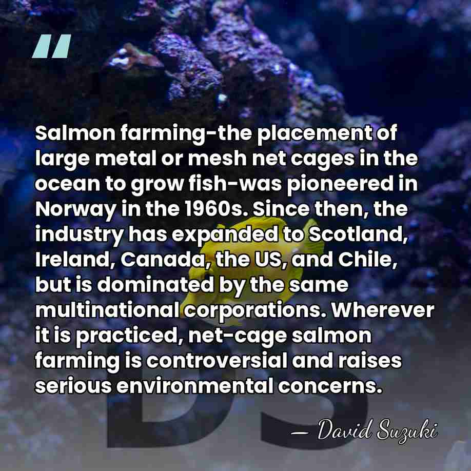 Salmon farming-the placement of large metal or mesh net cages in the&hellip; - David Suzuki