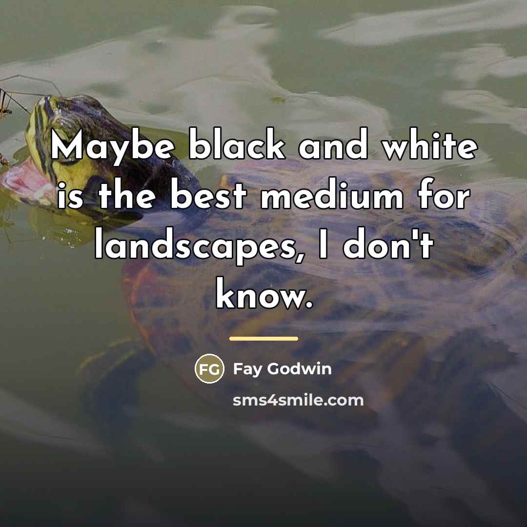 “Maybe black and white is the best medium for landscapes,…” quote by Fay Godwin