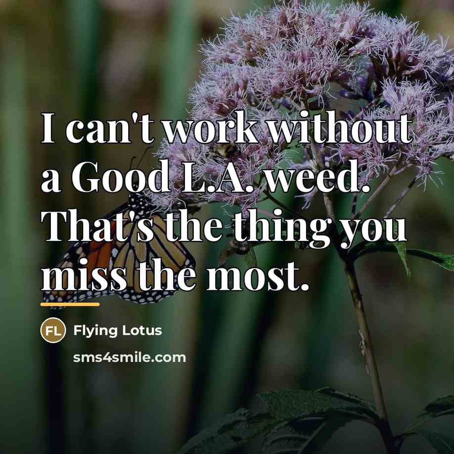 “I can't work without a Good L.A. weed. That's the…” quote by Flying Lotus