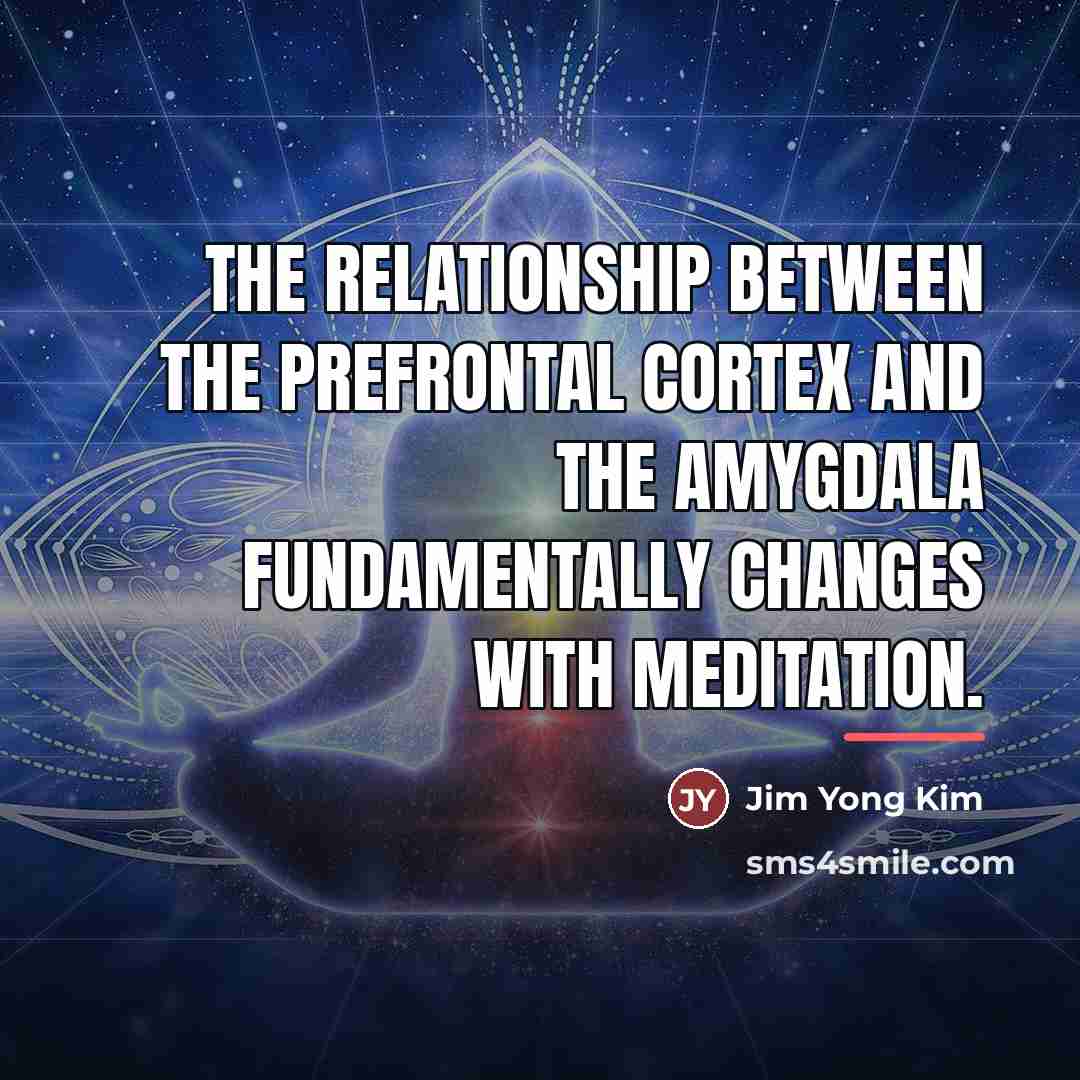 “The relationship between the prefrontal cortex and the amygdala fundamentally…” quote by Jim Yong Kim