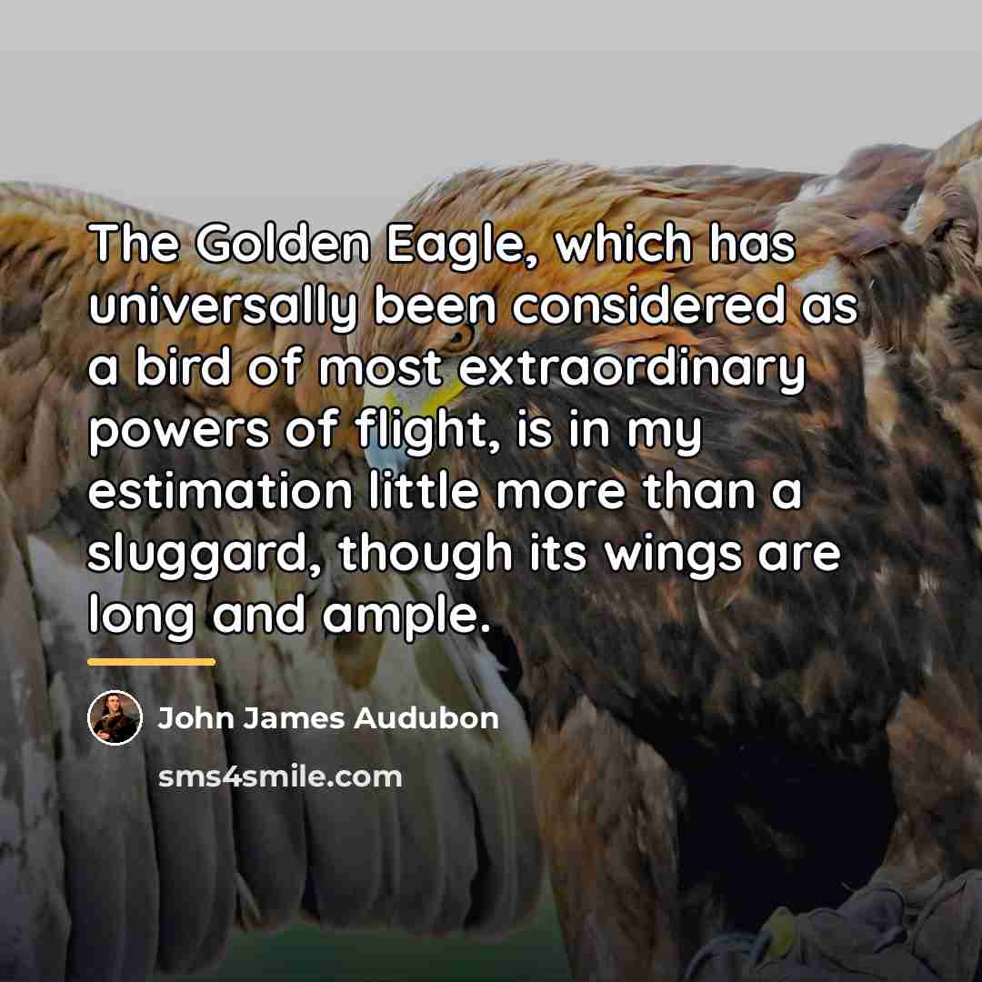 “The Golden Eagle, which has universally been considered as a…” quote by John James Audubon