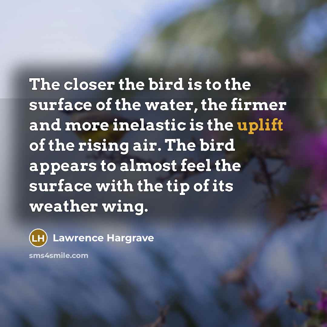 “The closer the bird is to the surface of the…” quote by Lawrence Hargrave