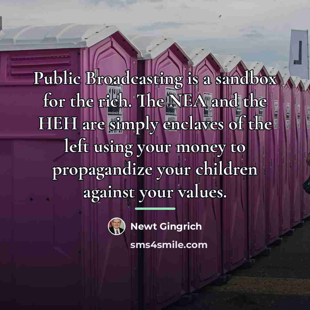 “Public Broadcasting is a sandbox for the rich. The NEA…” quote by Newt Gingrich