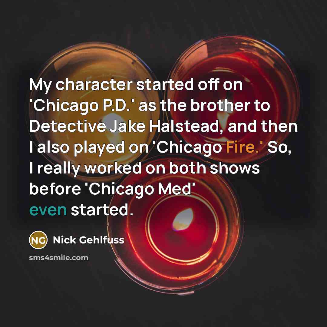 “My character started off on 'Chicago P.D.' as the brother…” quote by Nick Gehlfuss