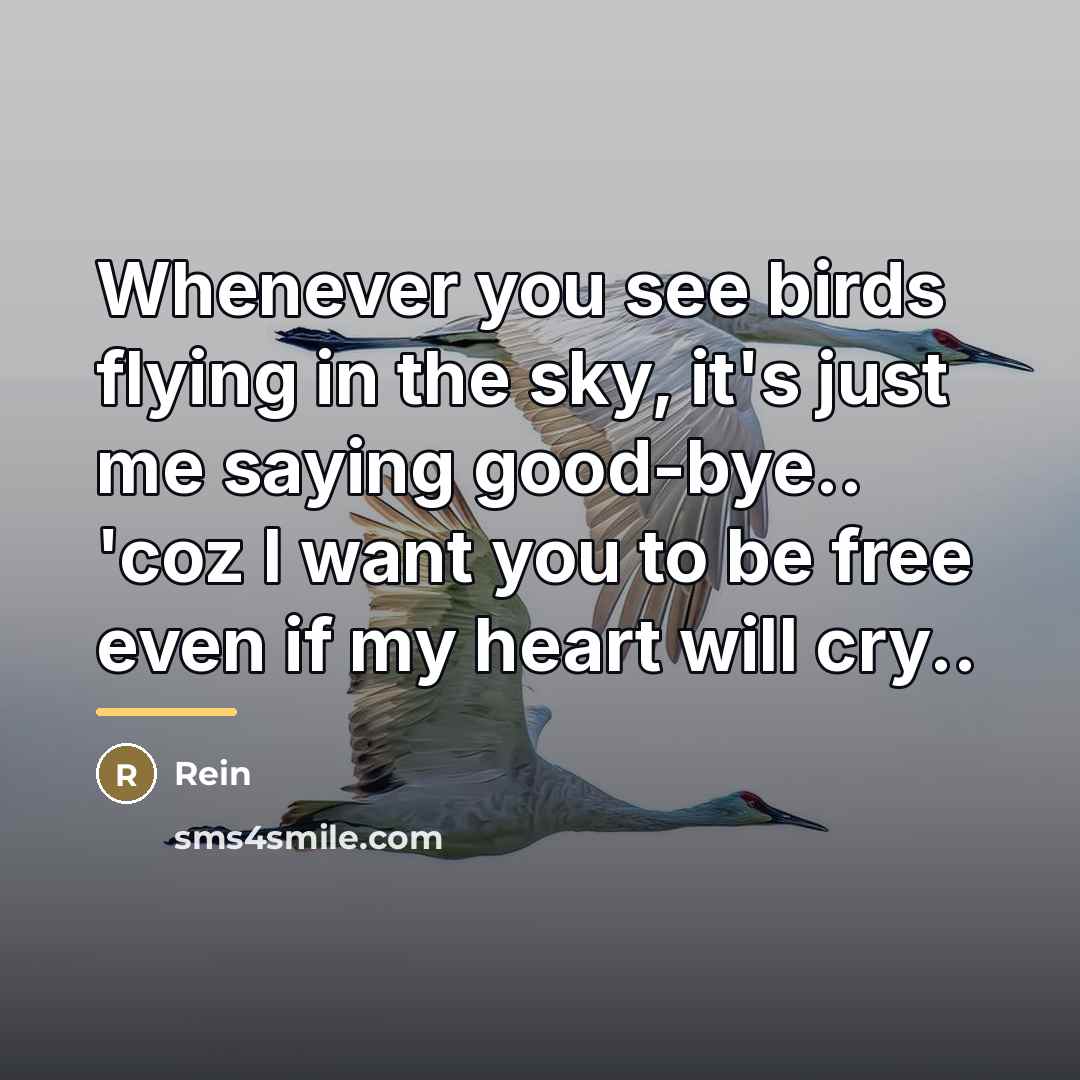 “Whenever you see birds flying in the sky, it's just…” quote by Rein
