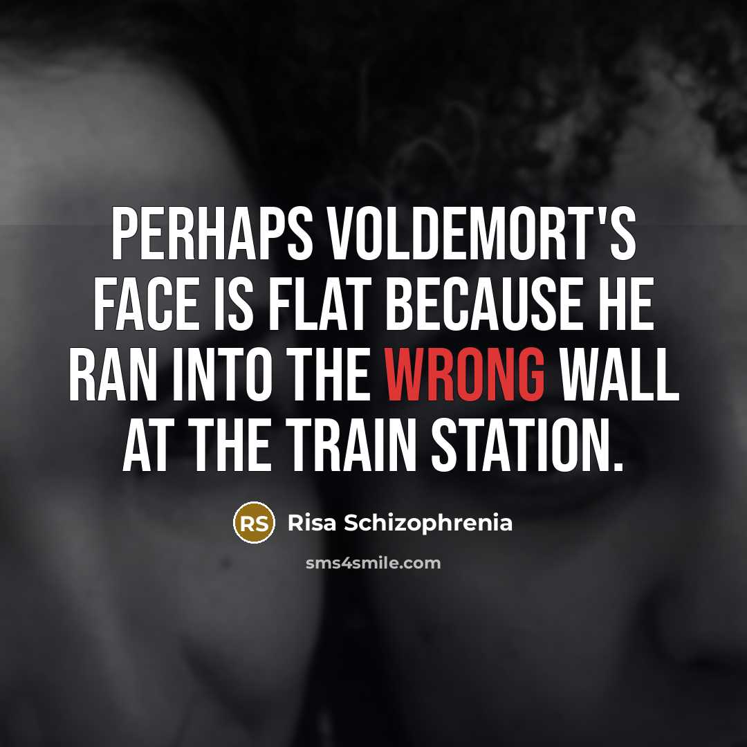 “Perhaps Voldemort's face is flat because he ran into the…” quote by Risa Schizophrenia