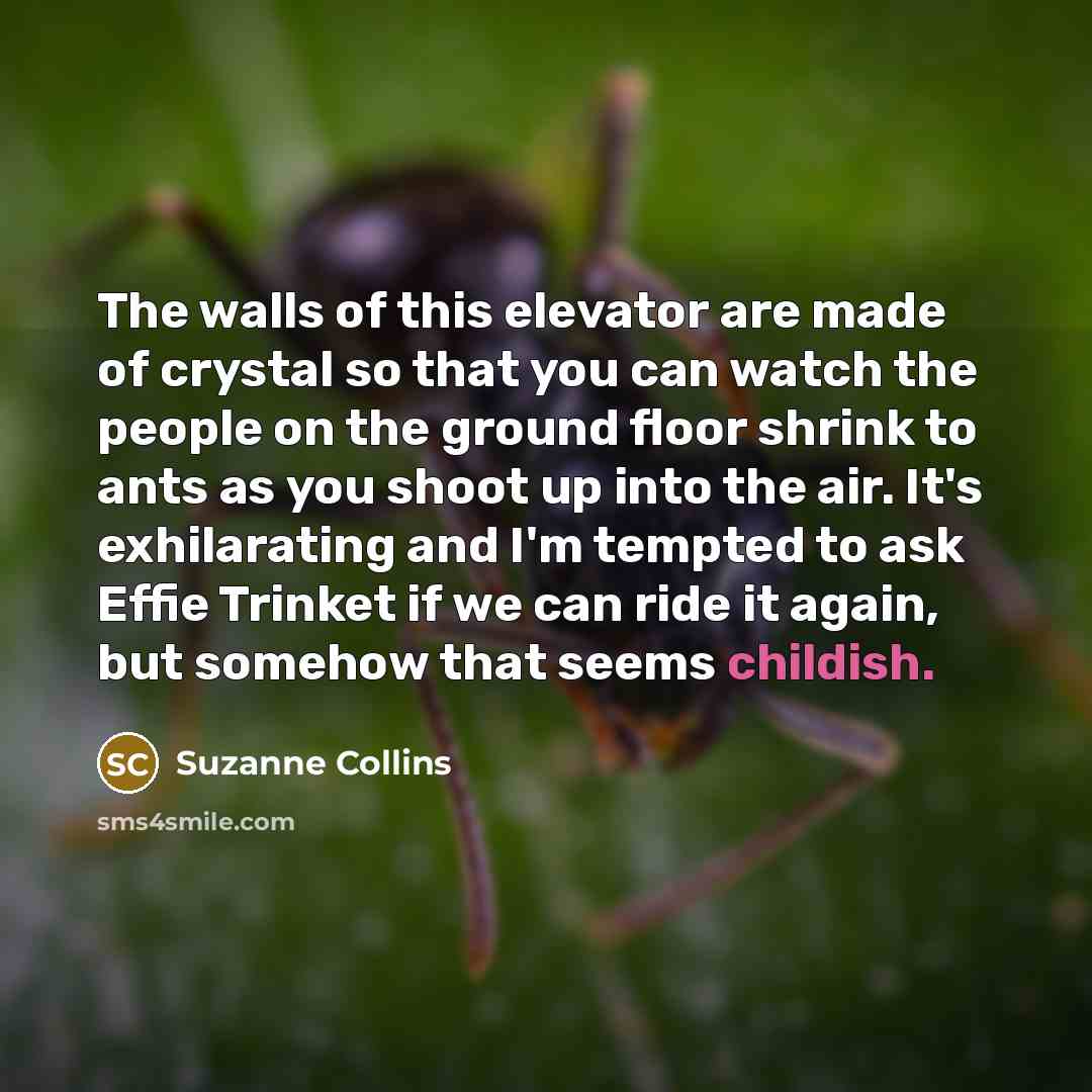 “The walls of this elevator are made of crystal so…” quote by Suzanne Collins