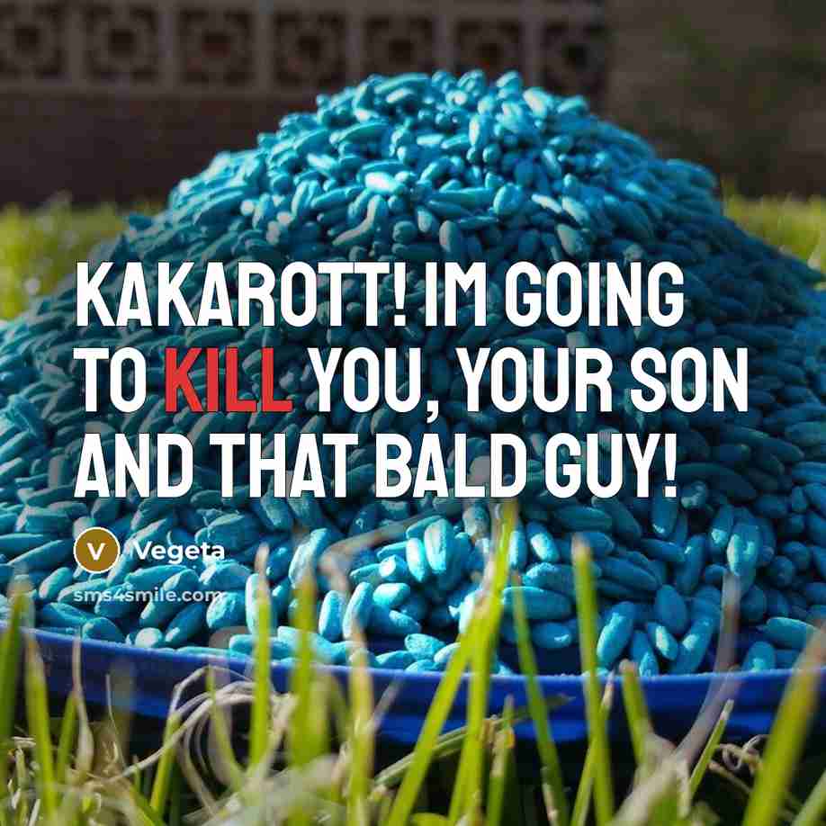 “Kakarott! Im going to kill you, your son and that…” quote by Vegeta