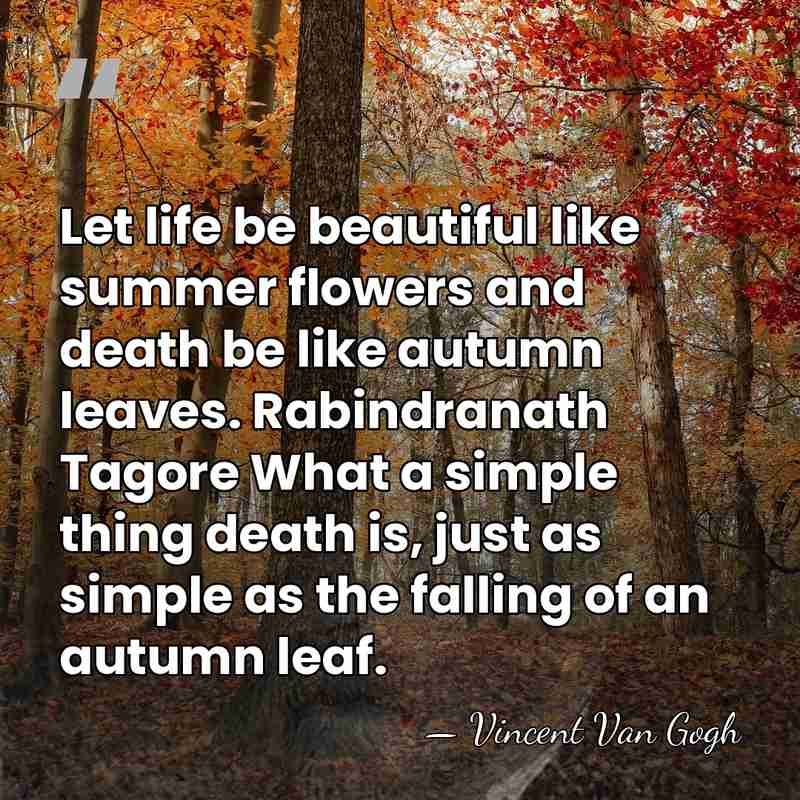 Let life be beautiful like summer flowers and death be like autumn&hellip; - Vincent Van Gogh