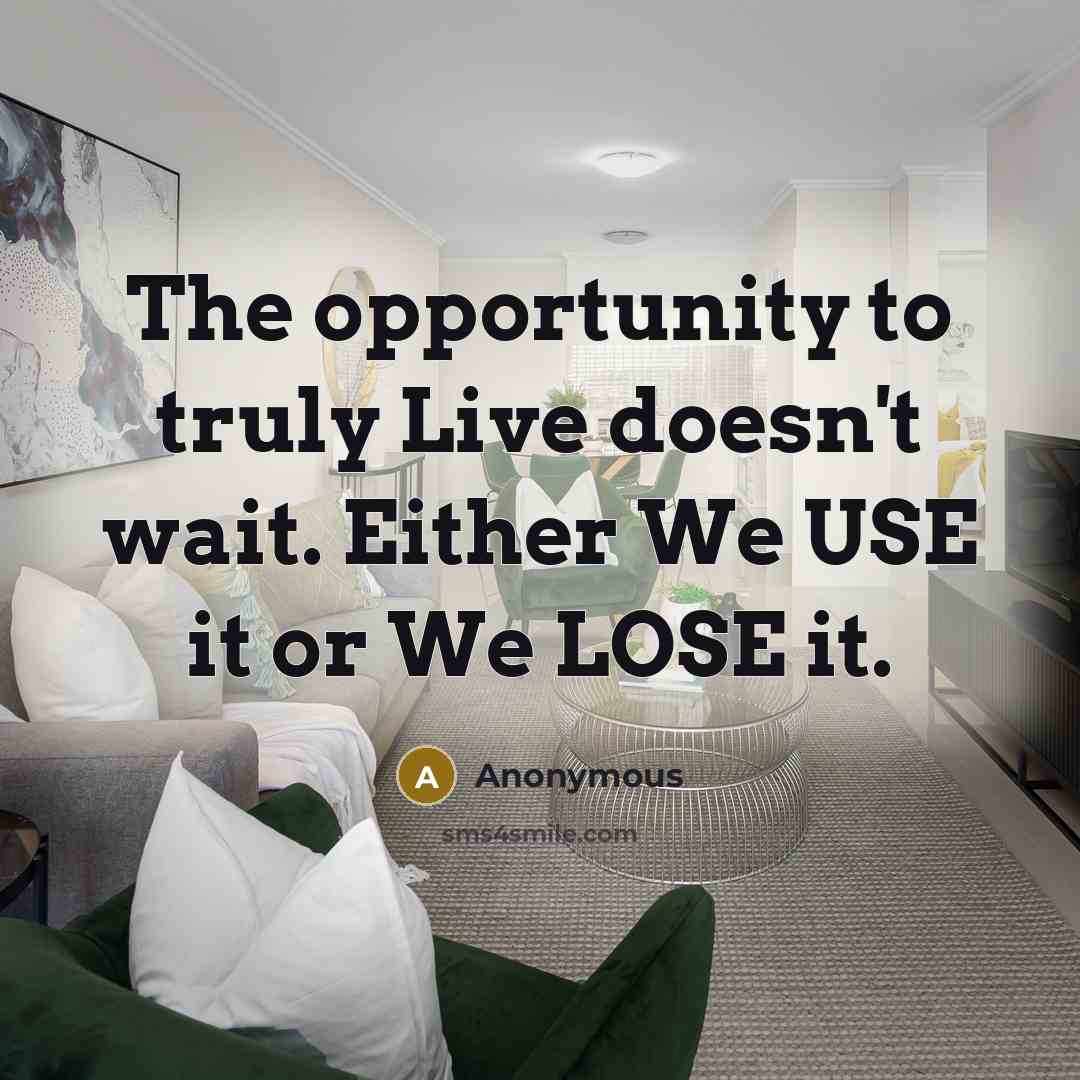 “The opportunity to truly Live doesn't wait. Either We USE…” quote by Anonymous