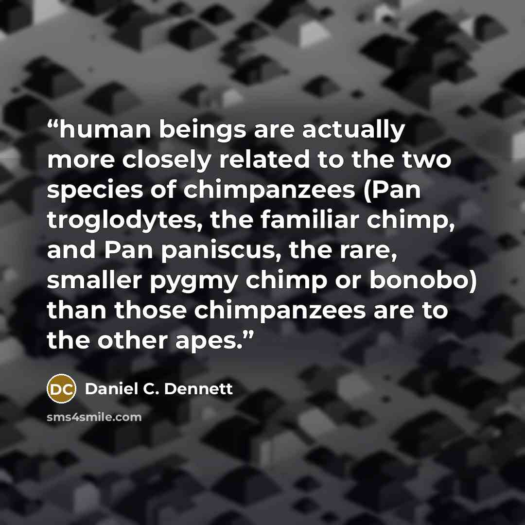 “human beings are actually more closely related to the two species of chimpanzees (Pan troglodytes, the familiar chimp, and Pan paniscus, the rare, smaller pygmy chimp or bonobo) than those chimpanzees are to the other apes.” quote by Daniel C. Dennett