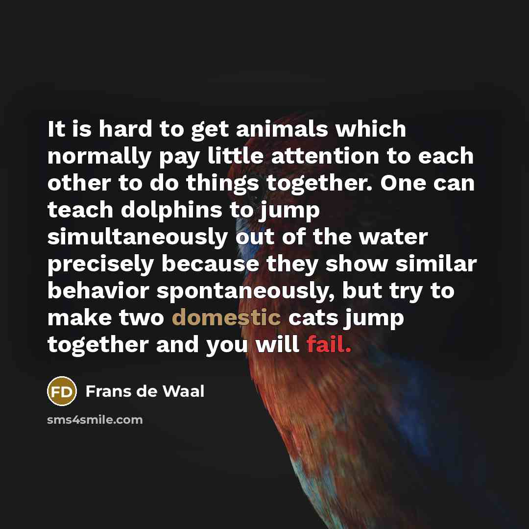 “It is hard to get animals which normally pay little…” quote by Frans de Waal
