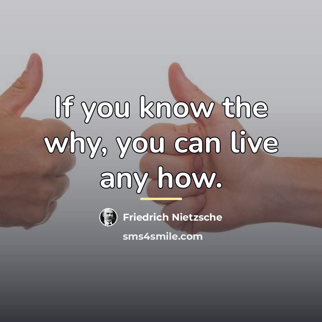 “If you know the why, you can live any how.…” quote by Friedrich Nietzsche