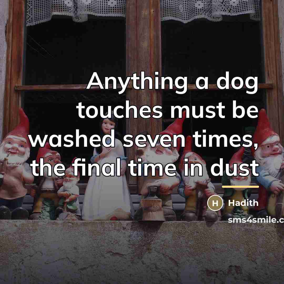 “Anything a dog touches must be washed seven times, the…” quote by Hadith