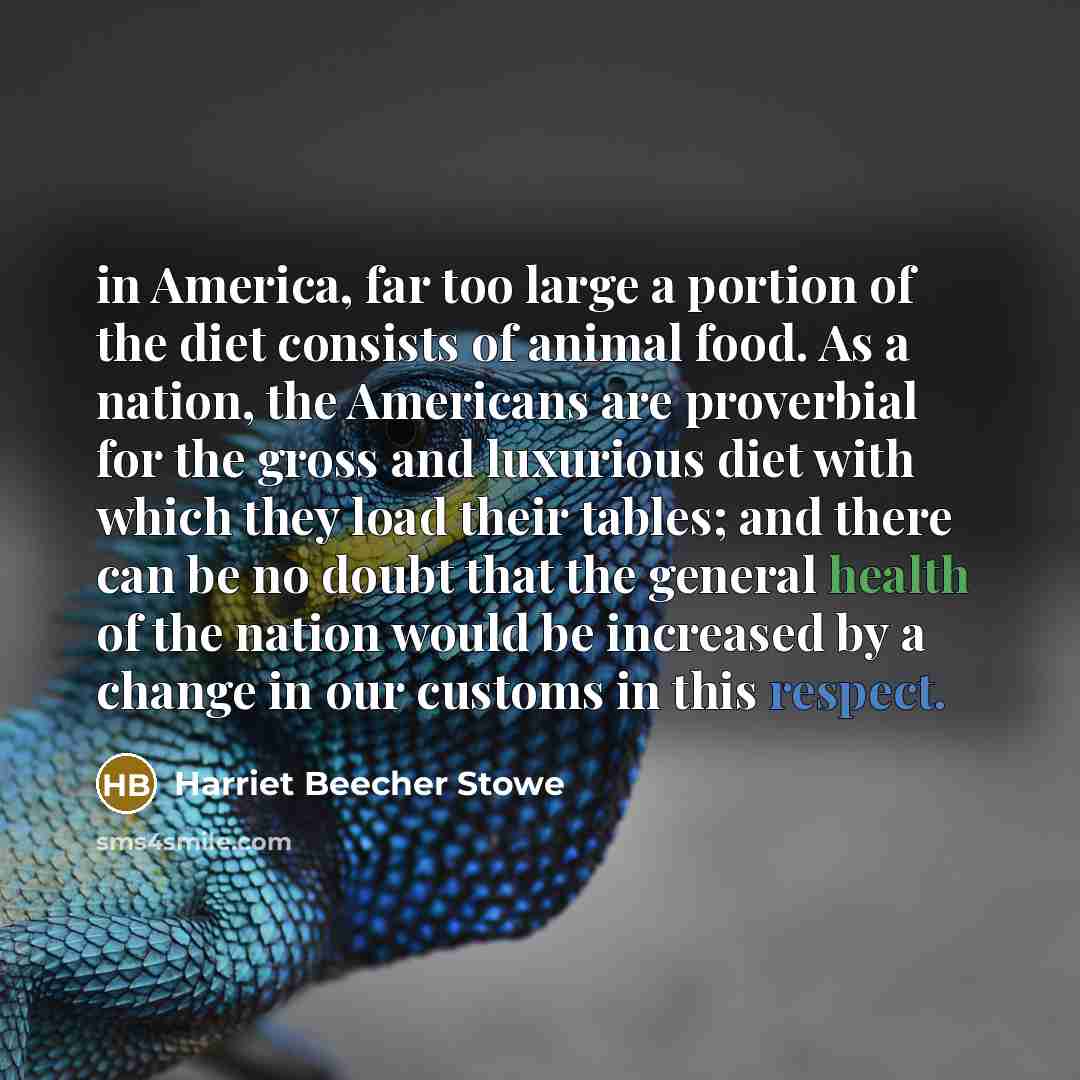 “in America, far too large a portion of the diet…” quote by Harriet Beecher Stowe