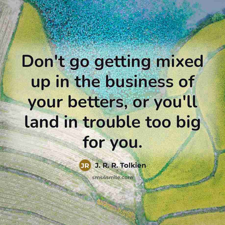 “Don't go getting mixed up in the business of your…” quote by J. R. R. Tolkien