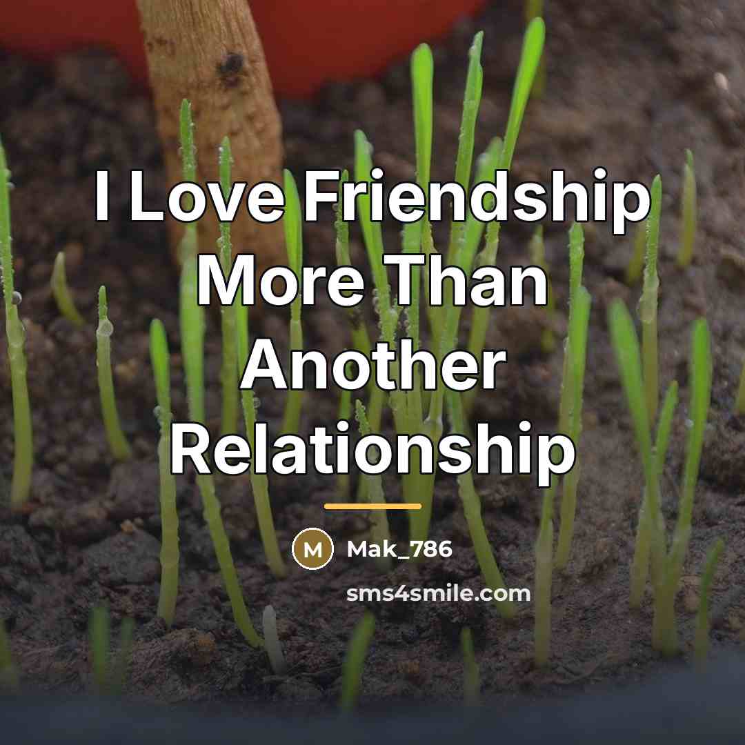 “I Love Friendship More Than Another Relationship…” quote by Mak_786