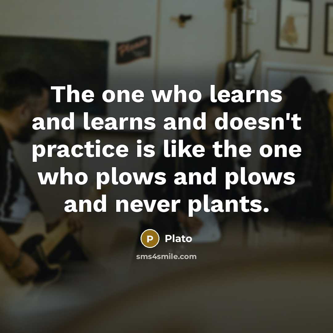 “The one who learns and learns and doesn't practice is like the one who plows and plows and never plants.” quote by Plato