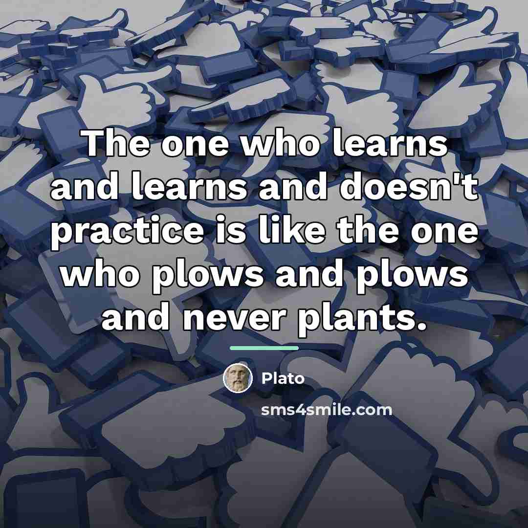 “The one who learns and learns and doesn't practice is…” quote by Plato