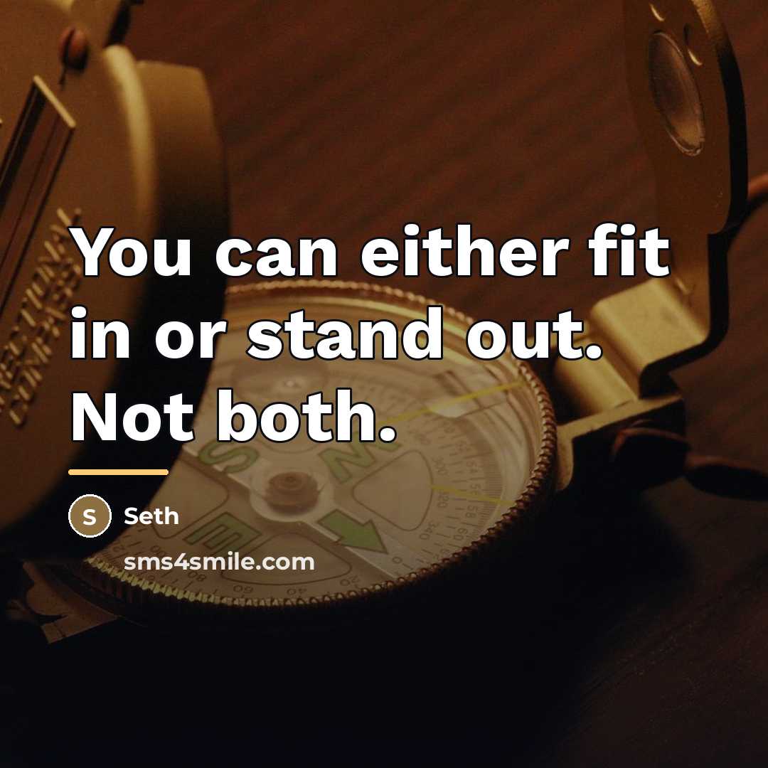 “You can either fit in or stand out. Not both.…” quote by Seth