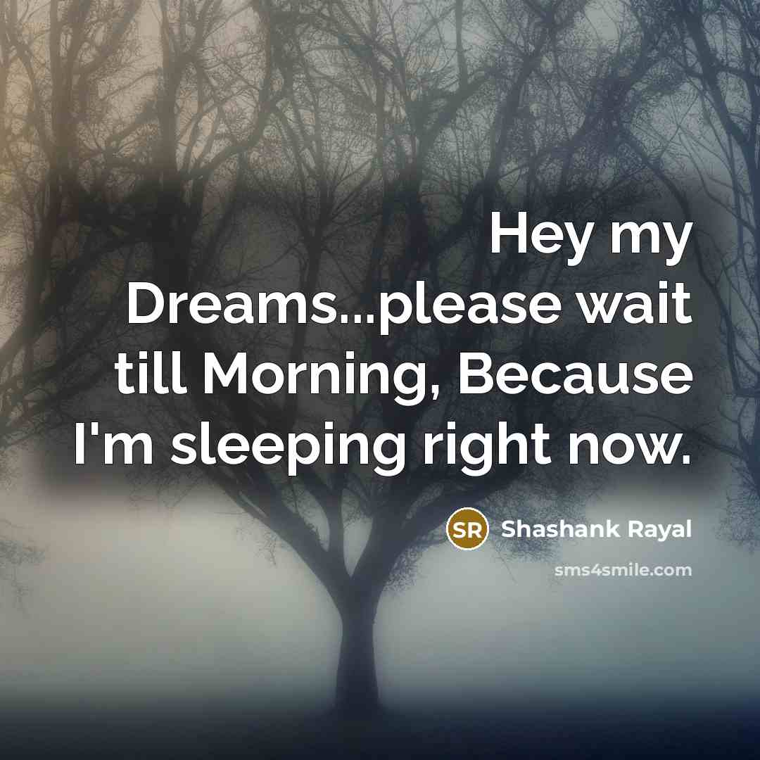 “Hey my Dreams...please wait till Morning, Because I'm sleeping right…” quote by Shashank Rayal