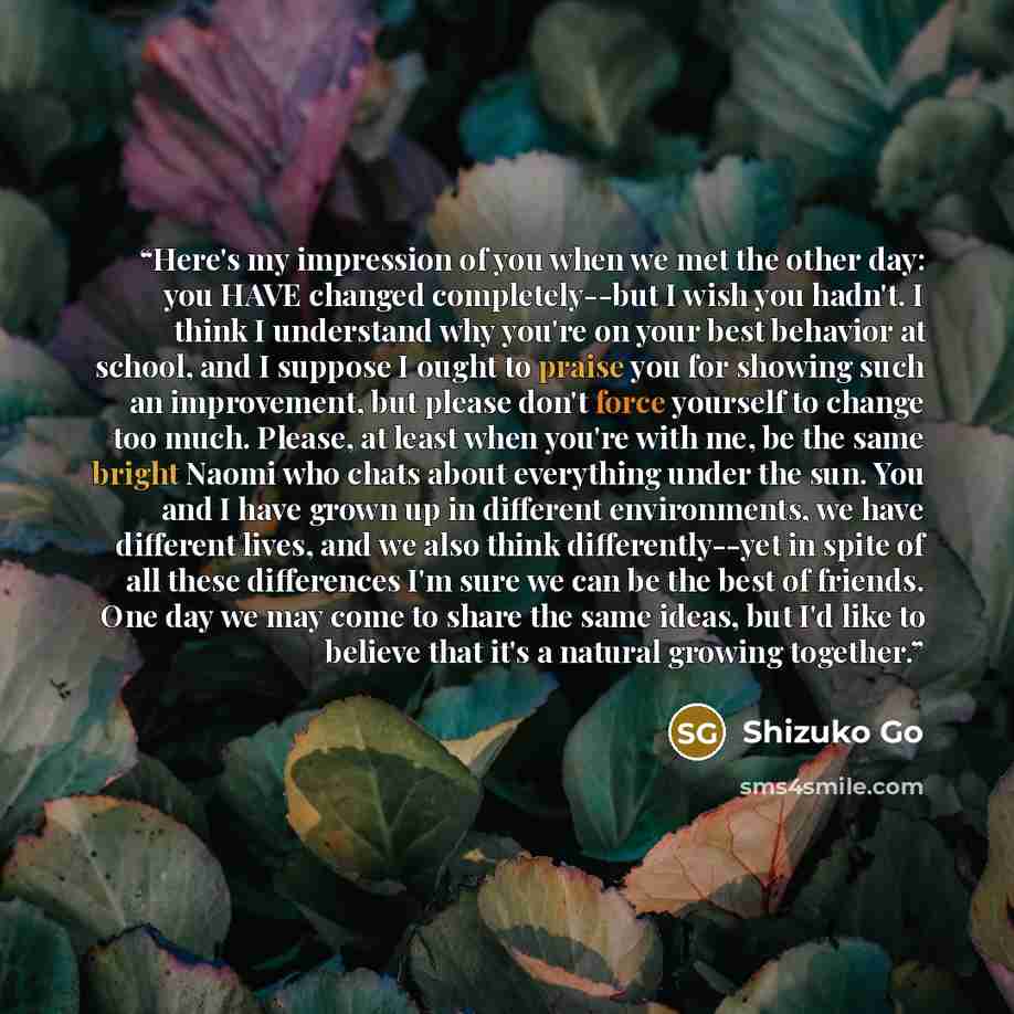 “Here's my impression of you when we met the other day: you HAVE changed completely--but I wish you hadn't. I think I understand why you're on your best behavior at school, and I suppose I ought to praise you for showing such an improvement, but please don't force yourself to change too much…” quote by Shizuko Go