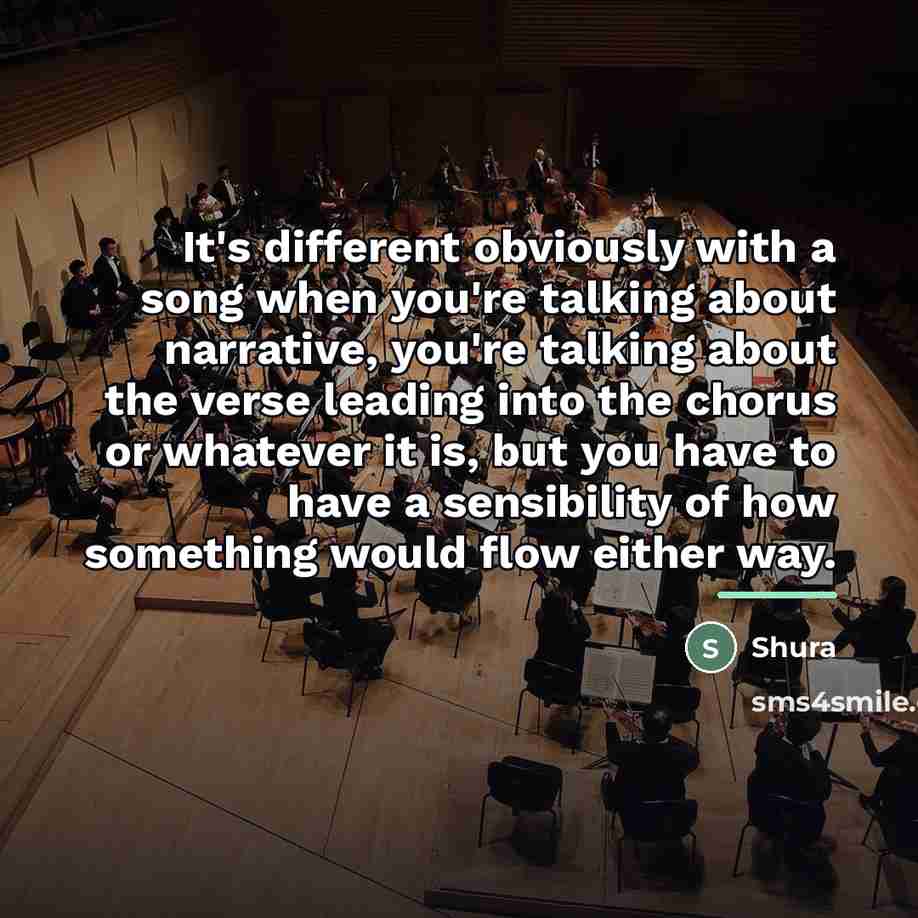 “It's different obviously with a song when you're talking about…” quote by Shura