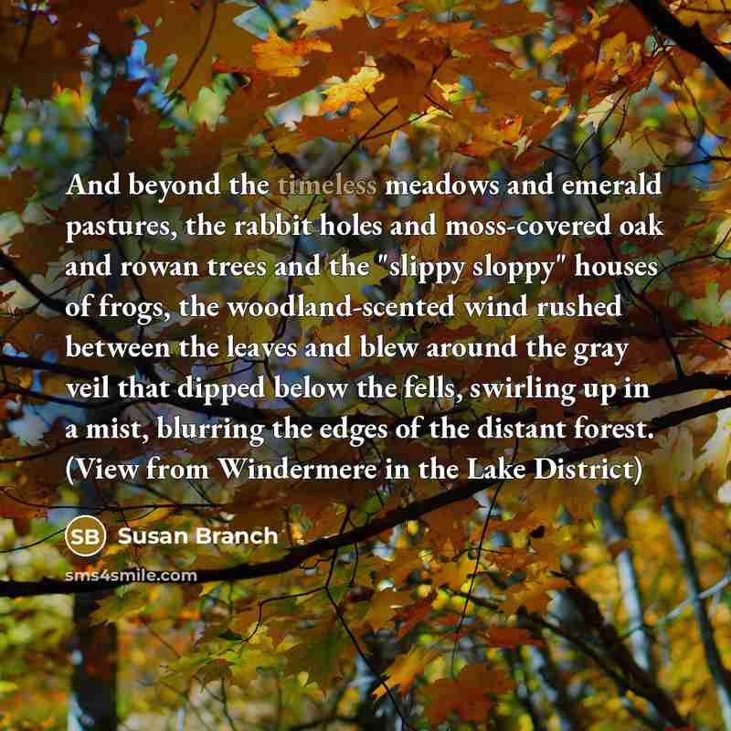 “And beyond the timeless meadows and emerald pastures, the rabbit…” quote by Susan Branch