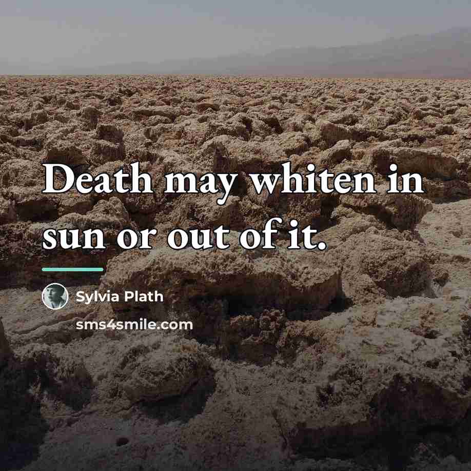 “Death may whiten in sun or out of it.…” quote by Sylvia Plath