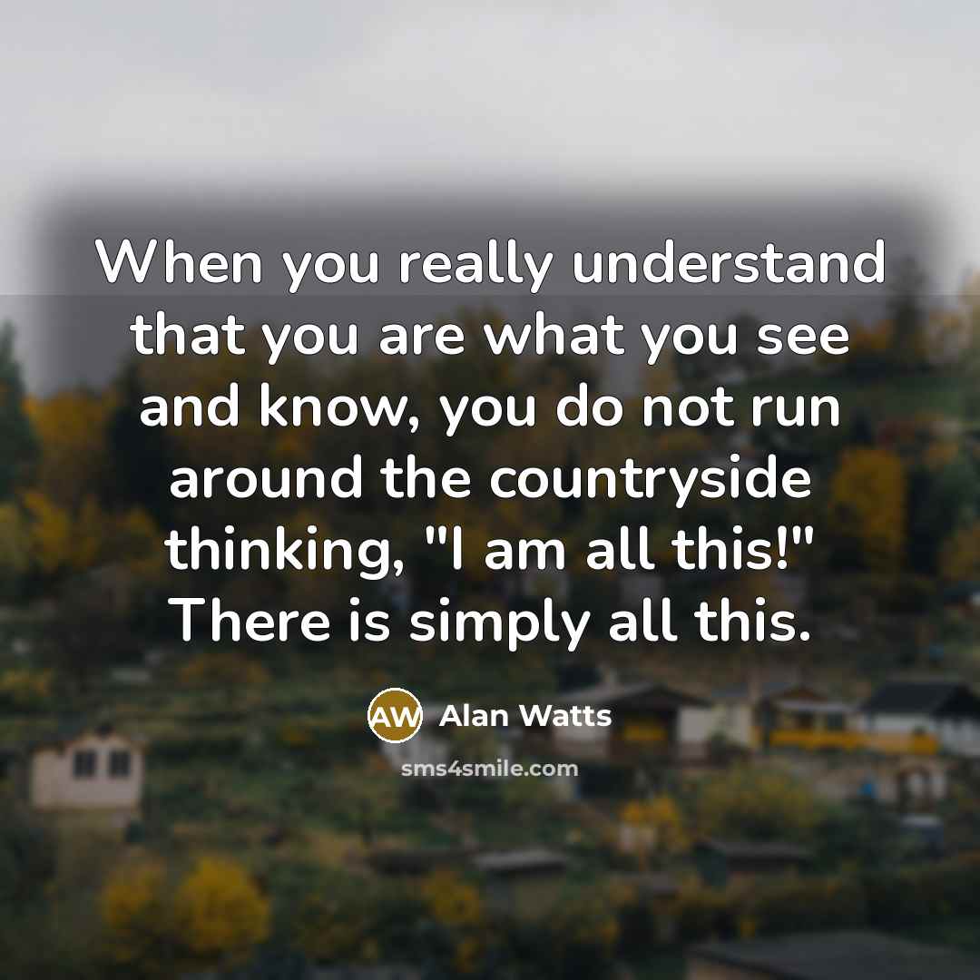 “When you really understand that you are what you see…” quote by Alan Watts
