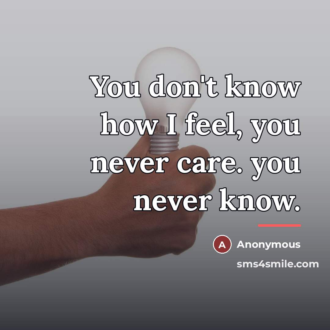 “You don't know how I feel, you never care. you…” quote by Anonymous