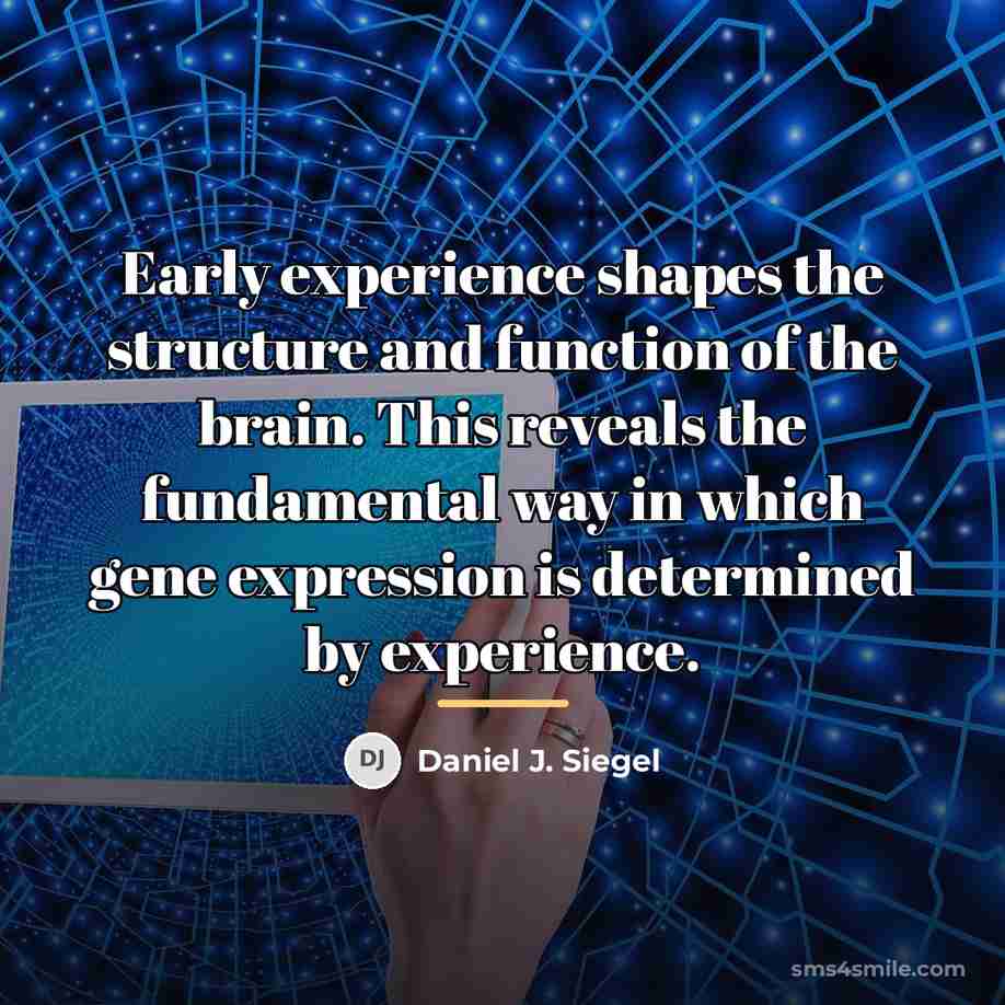“Early experience shapes the structure and function of the brain.…” quote by Daniel J. Siegel