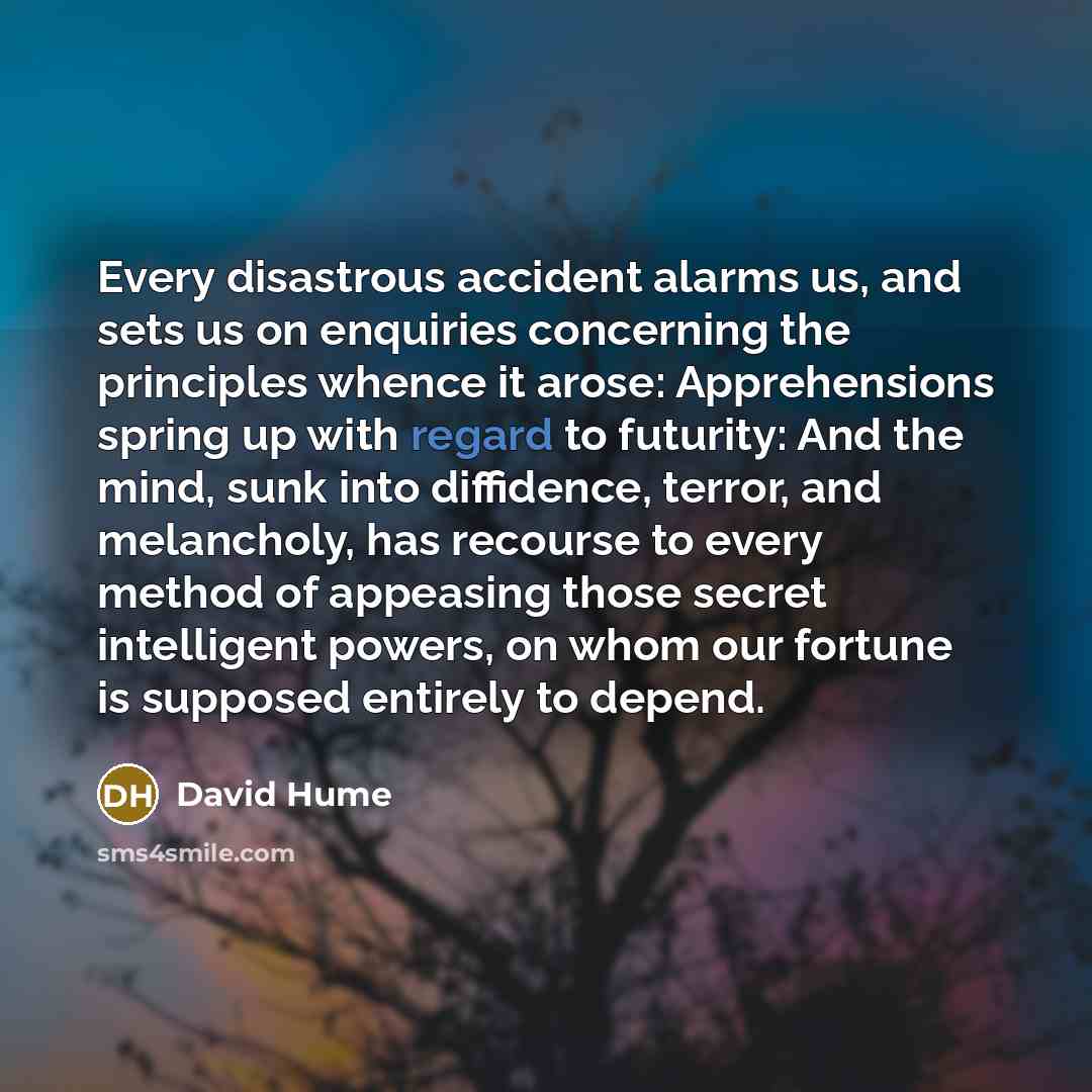 “Every disastrous accident alarms us, and sets us on enquiries…” quote by David Hume