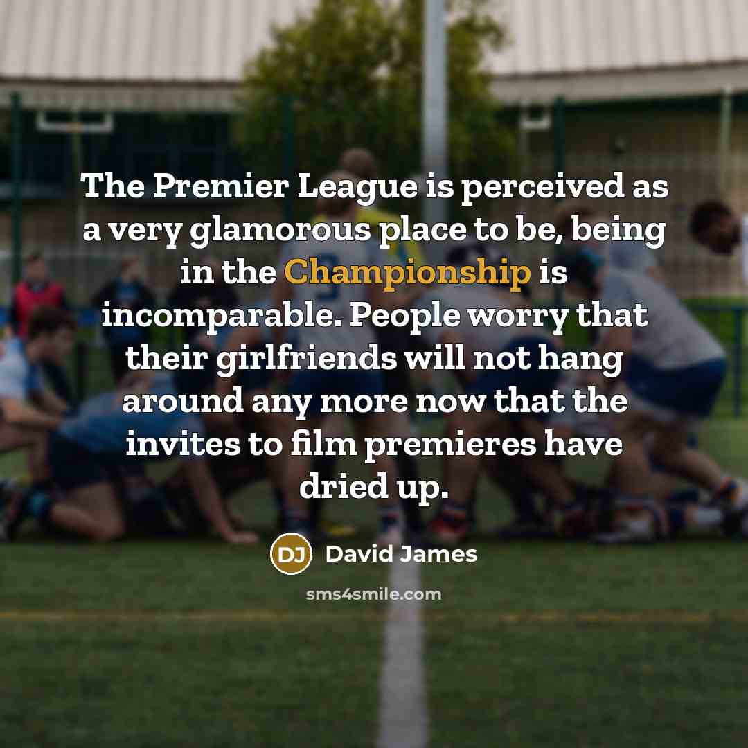 “The Premier League is perceived as a very glamorous place…” quote by David James