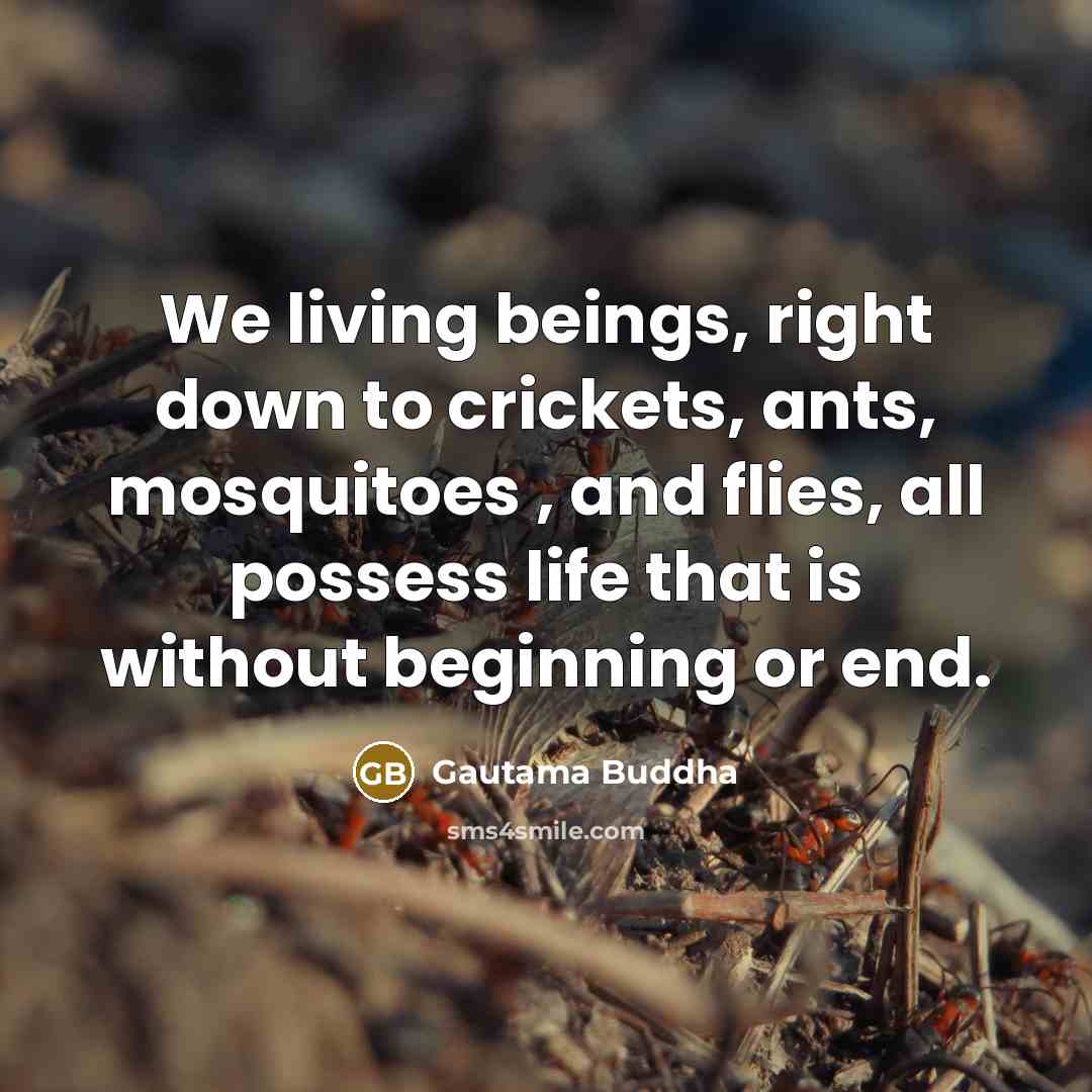 “We living beings, right down to crickets, ants, mosquitoes ,…” quote by Gautama Buddha