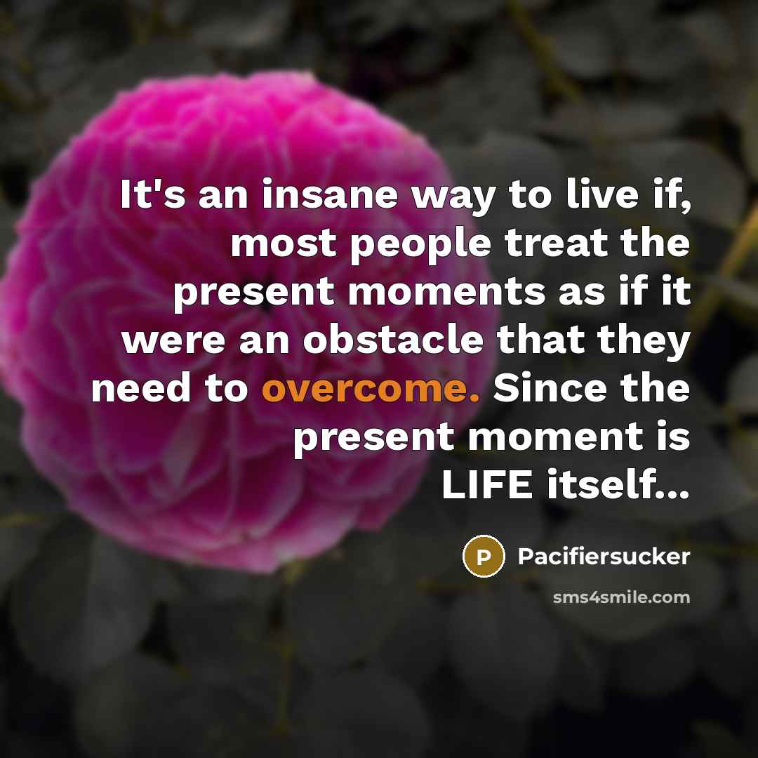 “It's an insane way to live if, most people treat…” quote by Pacifiersucker