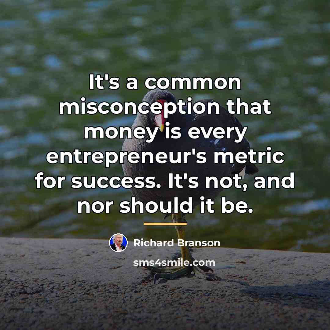 “It's a common misconception that money is every entrepreneur's metric…” quote by Richard Branson