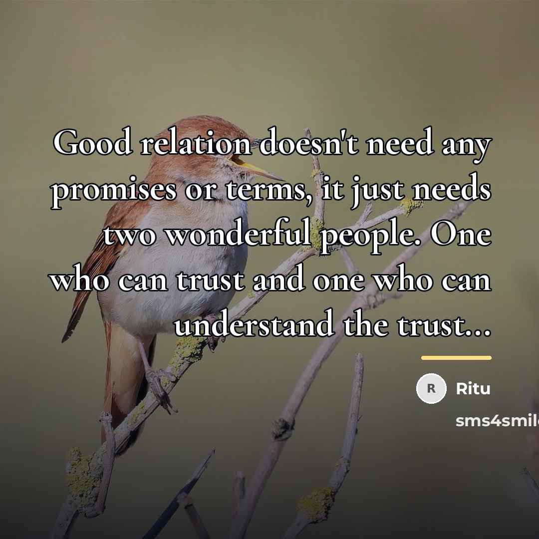 “Good relation doesn't need any promises or terms, it just…” quote by Ritu