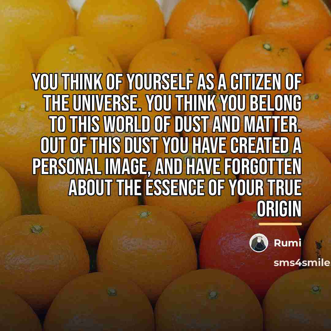 “You think of yourself as a citizen of the universe.…” quote by Rumi