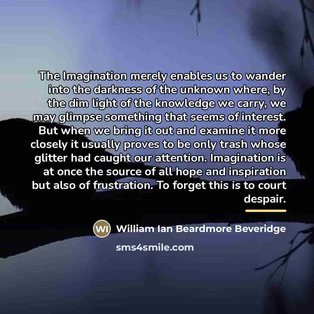 “The Imagination merely enables us to wander into the darkness…” quote by William Ian Beardmore Beveridge