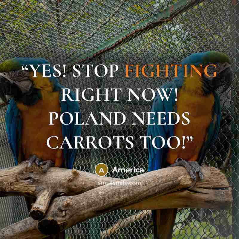 “YES! STOP FIGHTING RIGHT NOW! POLAND NEEDS CARROTS TOO!” quote by America