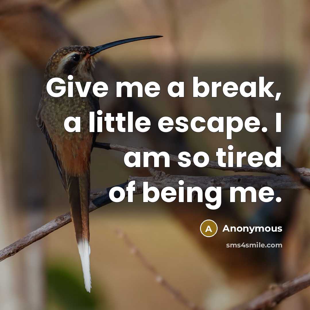 “Give me a break, a little escape. I am so…” quote by Anonymous