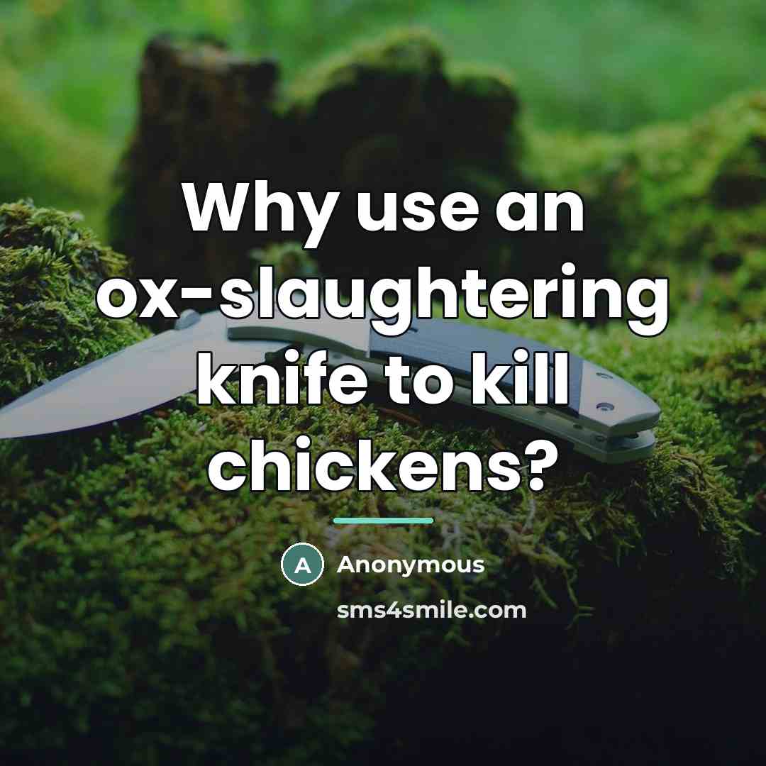 “Why use an ox-slaughtering knife to kill chickens?…” quote by Anonymous