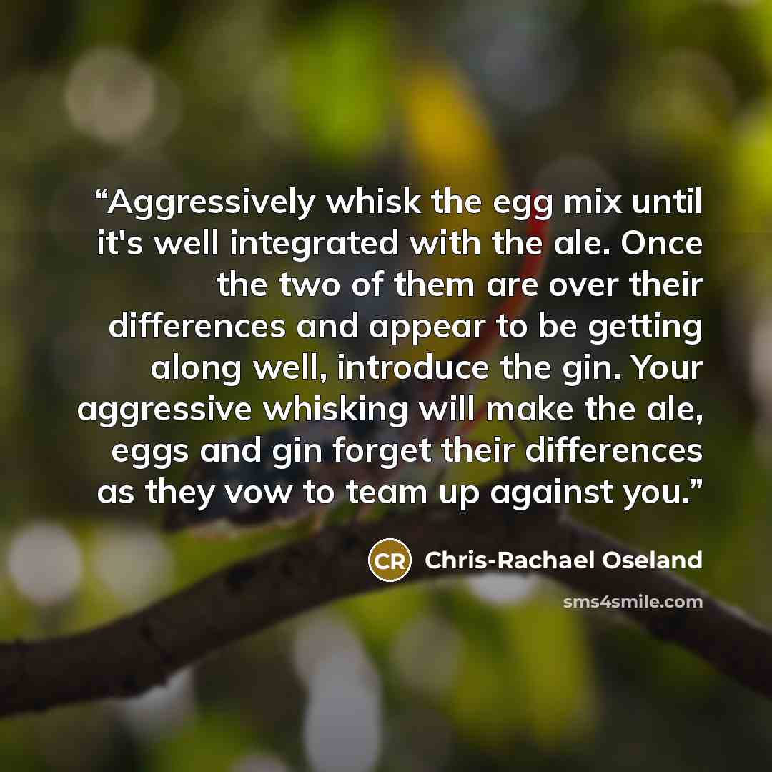 “Aggressively whisk the egg mix until it's well integrated with the ale. Once the two of them are over their differences and appear to be getting along well, introduce the gin. Your aggressive whisking will make the ale, eggs and gin forget their differences as they vow to team up against you.” quote by Chris-Rachael Oseland
