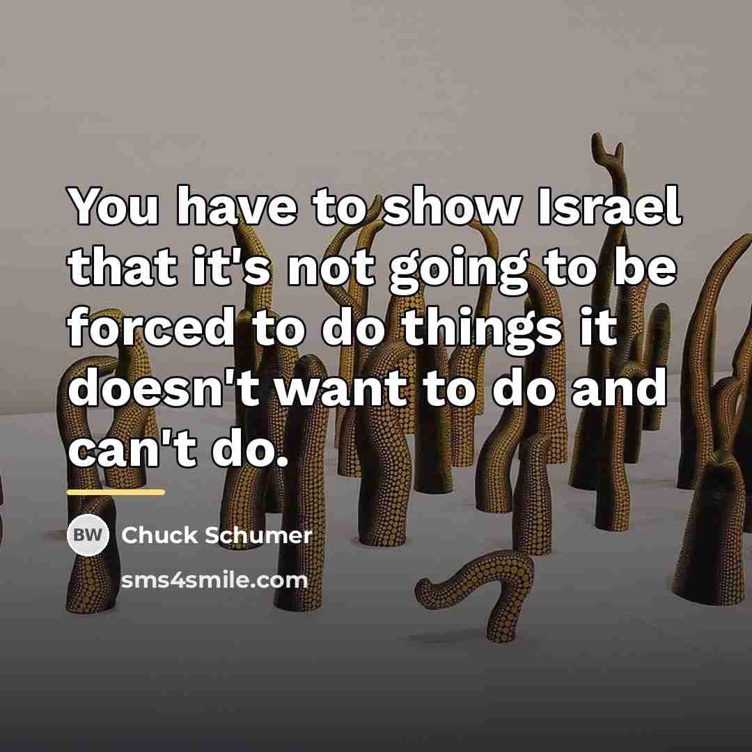 “You have to show Israel that it's not going to…” quote by Chuck Schumer